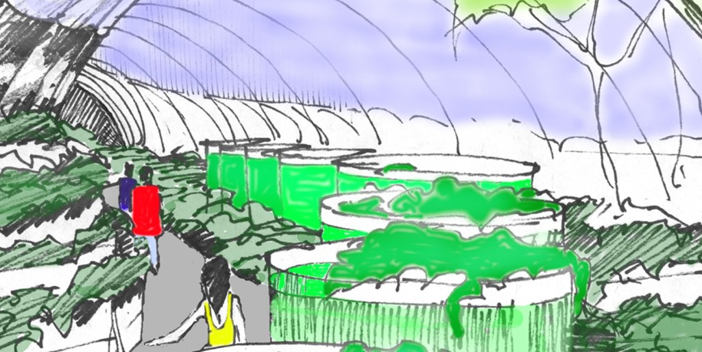 New Alchemy Journals