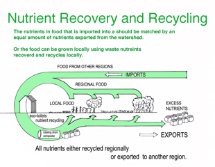 Advice to the Barnstable Clean Water&nbsp;Coalition