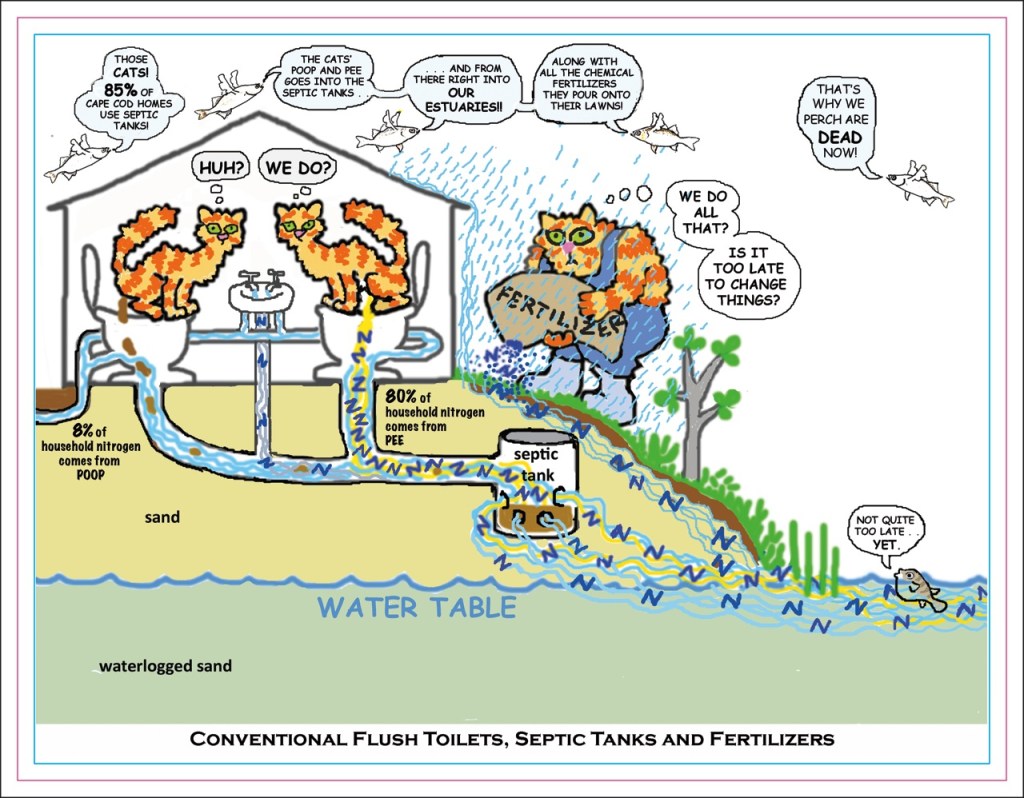 3. molly's comic pg 2 3_11_12 template