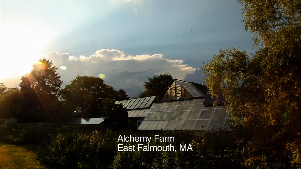 “Village Green” Special on&nbsp;Eco-Toilets