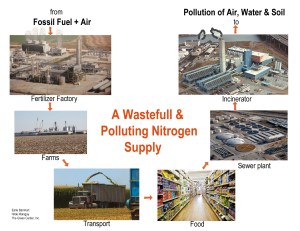 Industrial N cycle_1