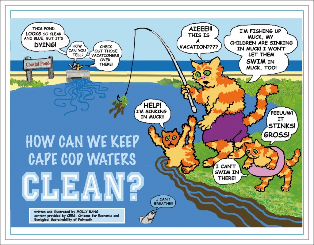 Keeping Cape Cod’s Waters&nbsp;Clean