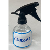 add vinegar to container