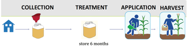 cubie collection, treatment, application & harvest