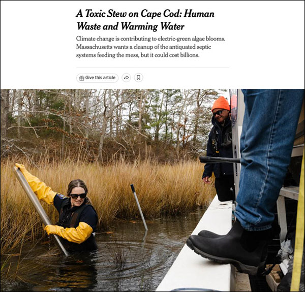 A Toxic Stew on Cape Cod