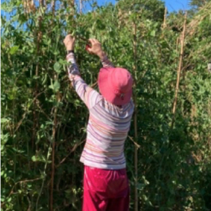 recycling as fertilizer garden 1