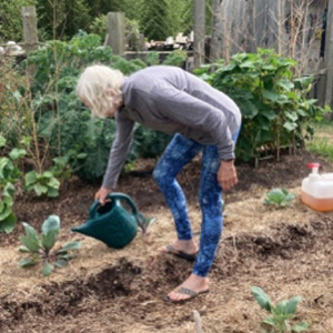 recycling as fertilizer garden 3